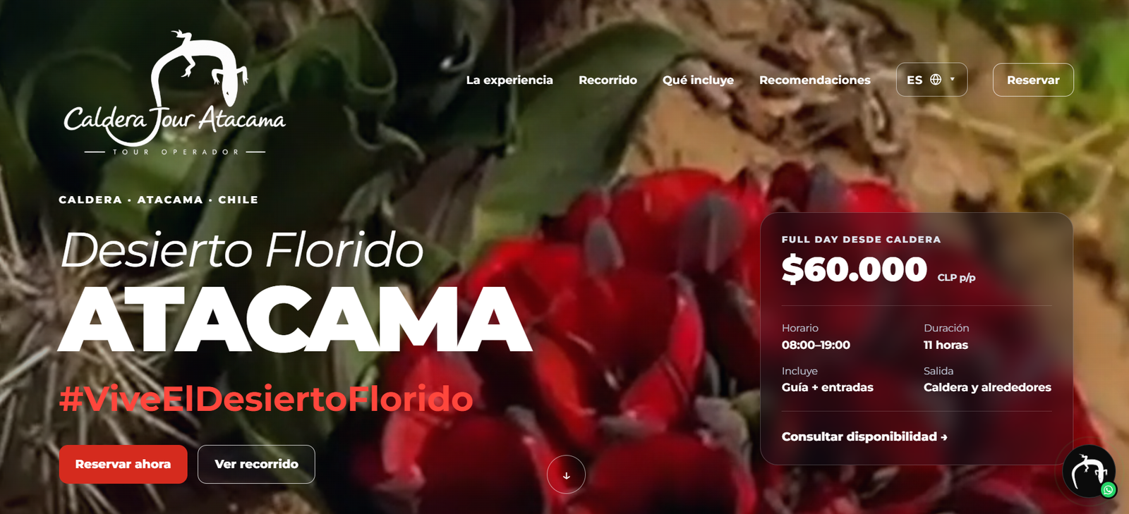 Sitio web Desierto Florido